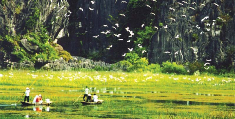 ຜັນຂະຫຍາຍບັນດາໂຄງການ, ຍຸດທະສາດພັດທະ ນາຊັບພະຍາກອນທຳມະຊາດ ແລະ ສິ່ງແວດລ້ອມຢ່າງມີປະສິດທິຜົນ